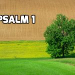 Psalm 1: The way of the Righteous and the Wicked