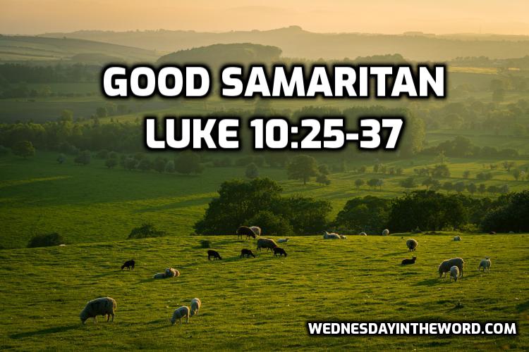 The Good Samaritan - Bible Study | WednesdayintheWord.com