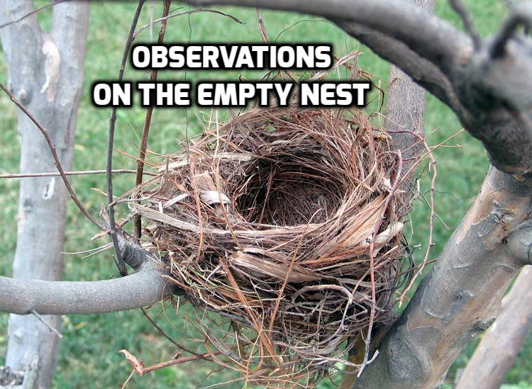 Observations on the Empty Nest