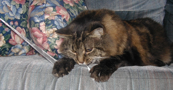 Lady playing with ribbon