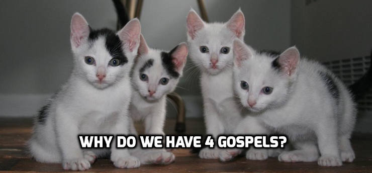 Why we have 4 Gospels | WednesdayintheWord.com