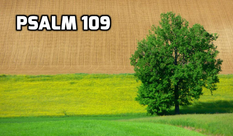 Psalm 109 | WednesdayintheWord.com