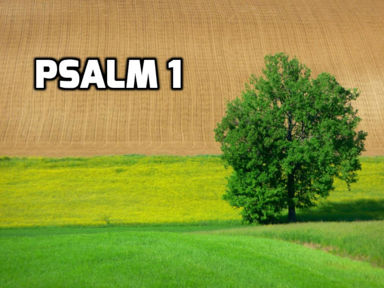 Psalm 1: The way of the Righteous and the Wicked — Wednesday in the Word