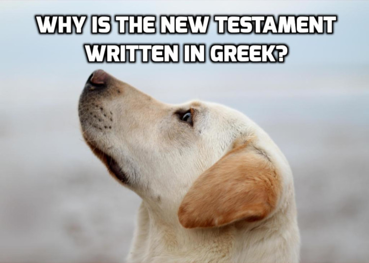 Why is the New Testament in Greek? | WednesdayintheWord.com