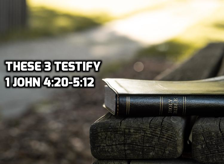1 John 4:20-5:12 These 3 Testify: Water,Blood & Spirit | WednesdayintheWord.com