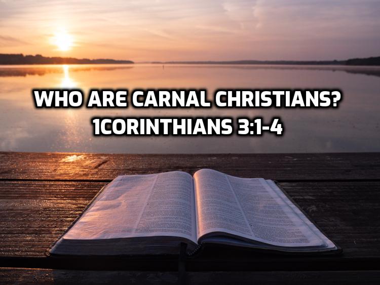 08 1Corinthians 3:1-4 Who are the “carnal Christians”? | WednesdayintheWord.com