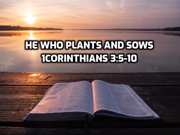 09 1Corinthians 3:5-10 He who plants and he who sows | WednesdayintheWord.com