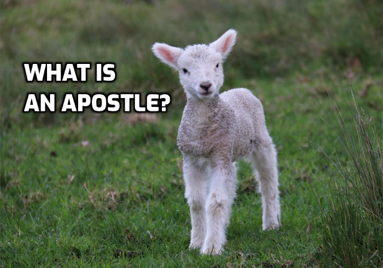 What is an apostle?