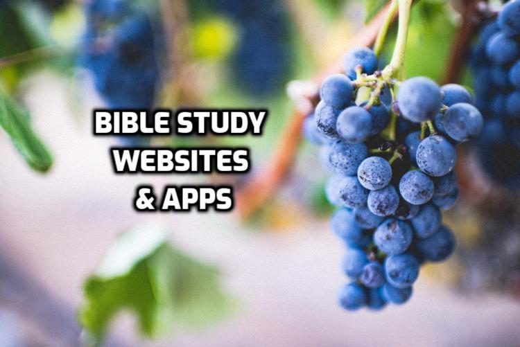 Bible Study Websites & Apps