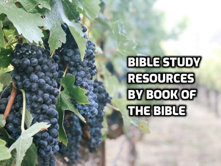 Bible Study Resources by book of the Bible | WednesdayintheWord.com