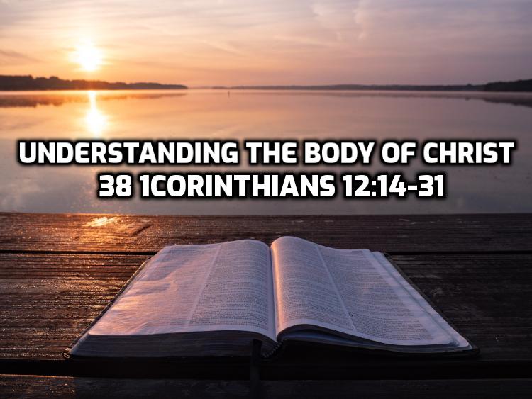38 1Corinthians 12:14-31 Understanding the body of Christ | WednesdayintheWord.com