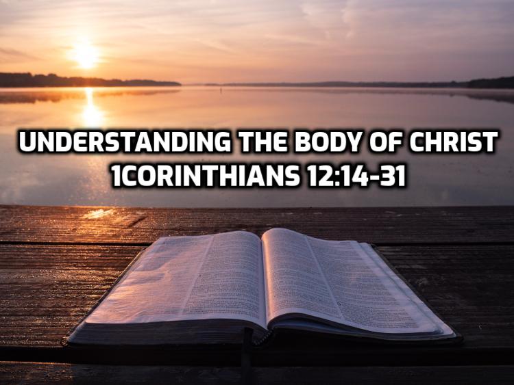 38 1Corinthians 12:14-31 Understanding the body of Christ | WednesdayintheWord.Com