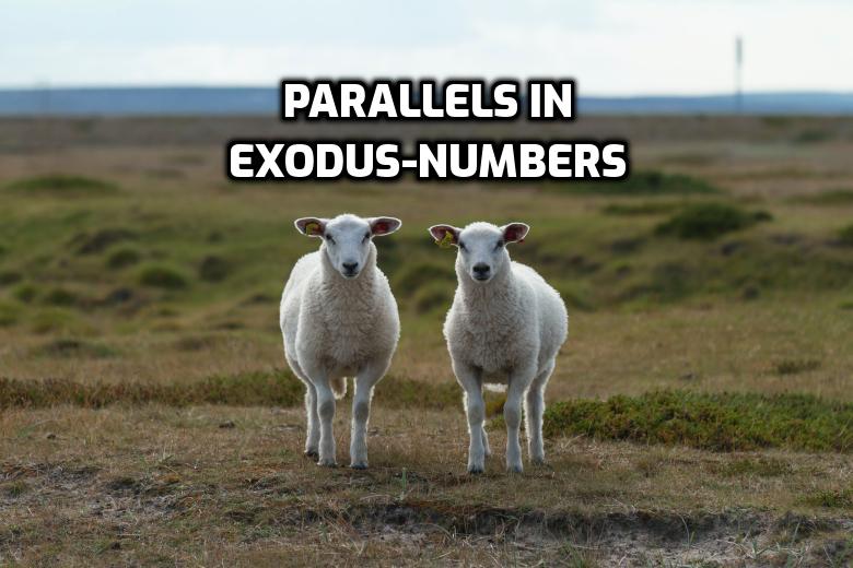 Parallels in Exodus & Numbers | WednesdayintheWord.com