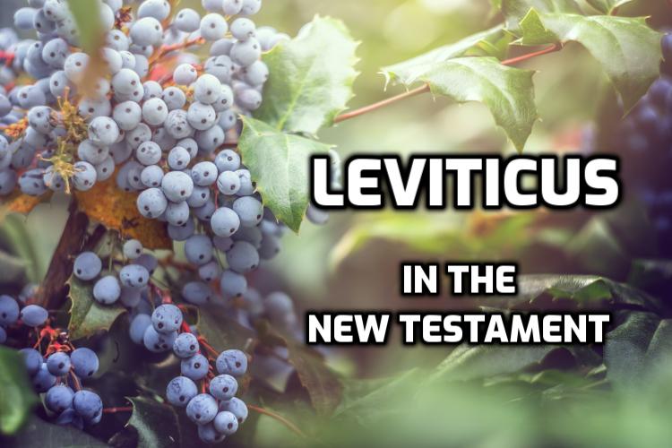 Leviticus in the New Testament | WednesdayintheWord.com
