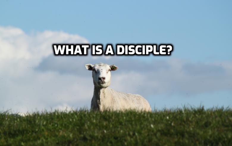 What is a disciple?