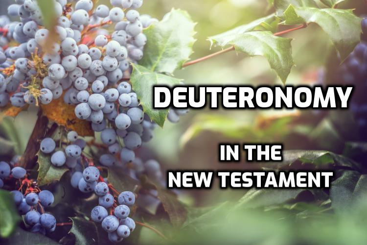 Deuteronomy quotations in the New Testament | WednesdayintheWord.com