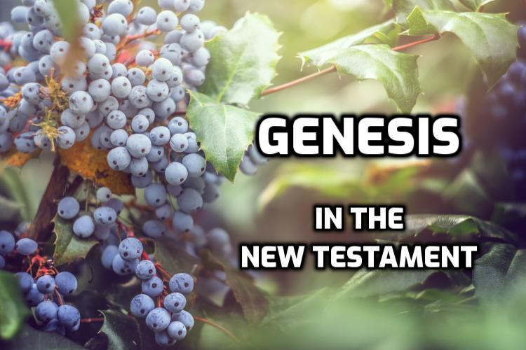 Genesis quotes in the New Testament | WednesdayintheWord.com