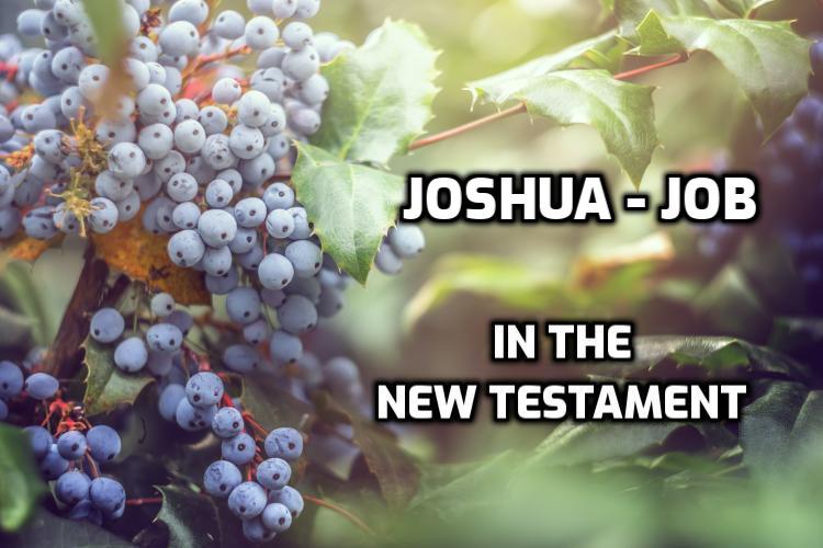 Joshua to Job quotes in the New Testament | WednesdayintheWord.com