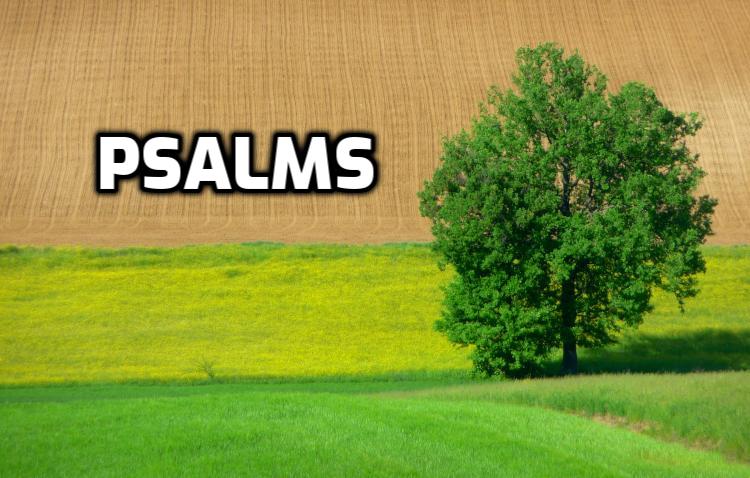 Understanding Psalms | WednesdayintheWord.com Psalms | WednesdayintheWord.com