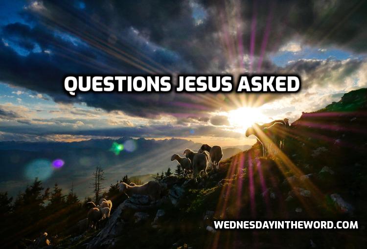 Questions Jesus Asked | WednesdayintheWord.com