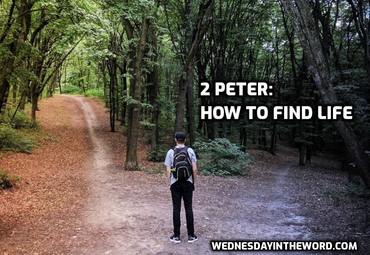 Peter 2: How to find life