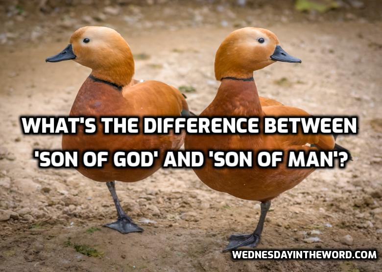 What is the difference between “Son of God” and “Son of man”?