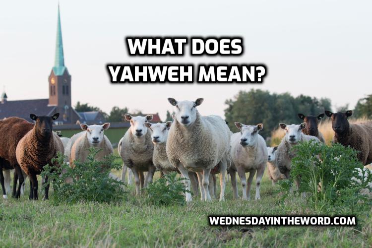 What does YHWH mean?