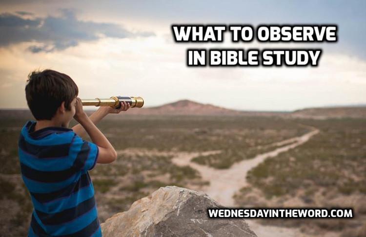 What to observe in Bible study - Bible Study Tools | WednesdayintheWord.com