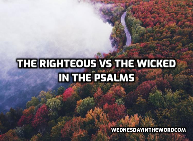 Righteous vs. the wicked in the Psalms