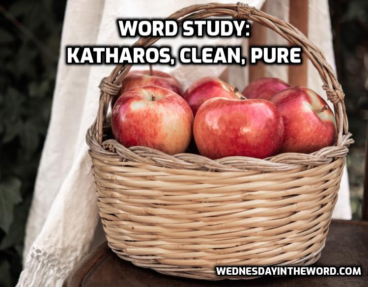Word Study: pure, katharos | WednesdayintheWord.com