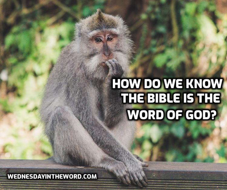 How do we know the Bible is the Word of God?