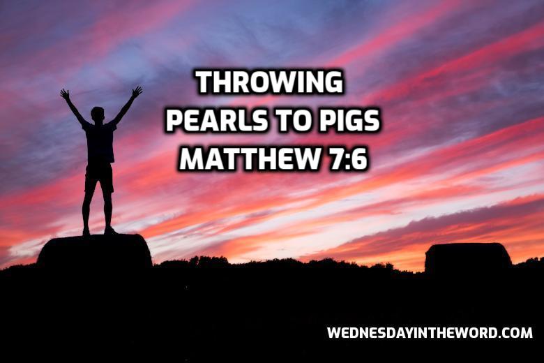 39 Matthew 7:6 Throwing pearls to pigs - Bible Study | WednesdayintheWord.com