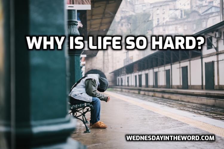 Why is life so hard?