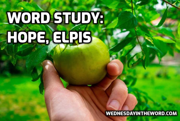 Word Study: hope, elpis - Bible Study Tools | WednesdayintheWord.com