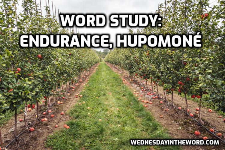 Word Study - endurance, hupomoné - Bible Study Tools | WednesdayintheWord.com