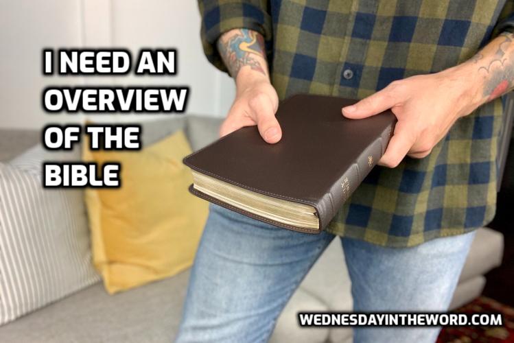 I need an overview of the Bible - Bible Study | WednesdayintheWord.com