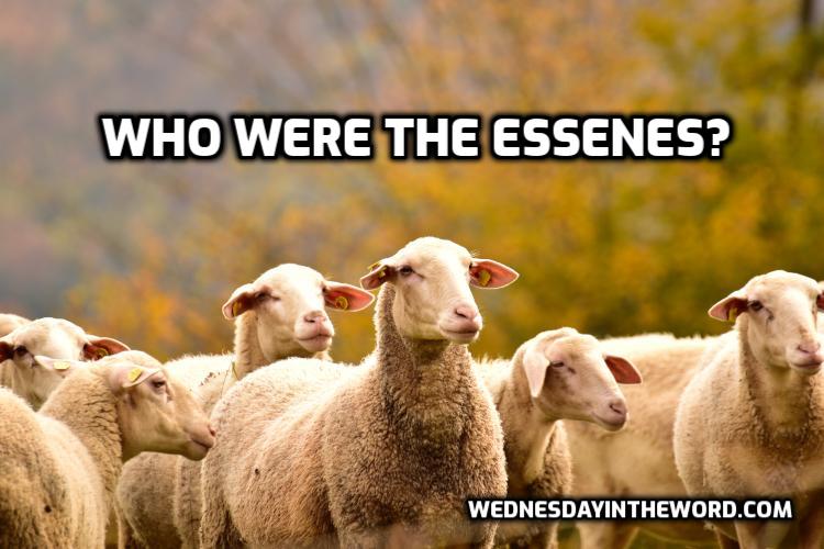 Who were the Essenes? - Bible Study Tools | WednesdayintheWord.com