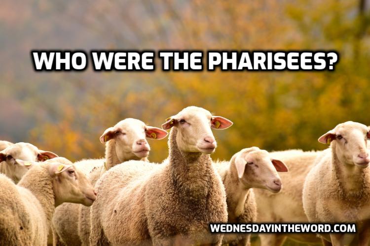 Who are the Pharisees? - Bible Study | WednesdayintheWord.com