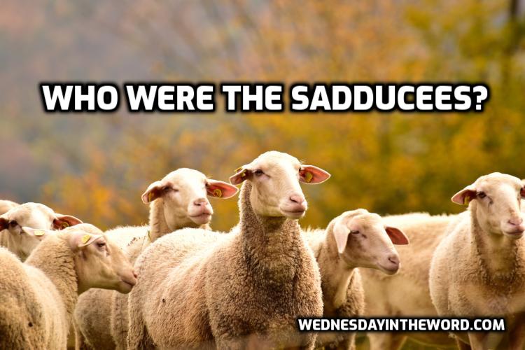 Who were the Sadducees?