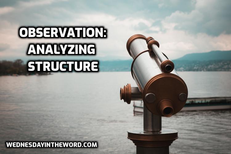 Observation: Analyzing Structure