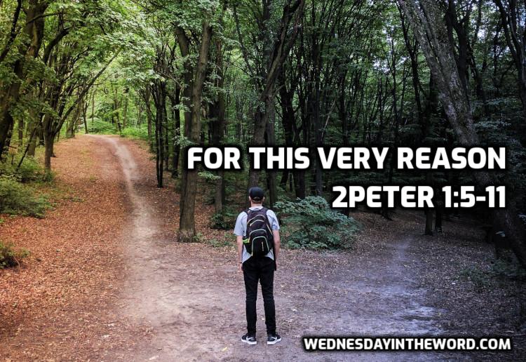 02 2Peter 1:5-11 For this very reason - Bible Study | WednesdayintheWord.com