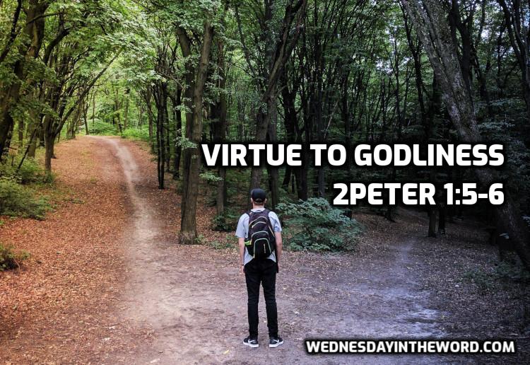 03 2Peter 1:5-6 Virtue to Godliness - Bible Study | WednesdayintheWord.com