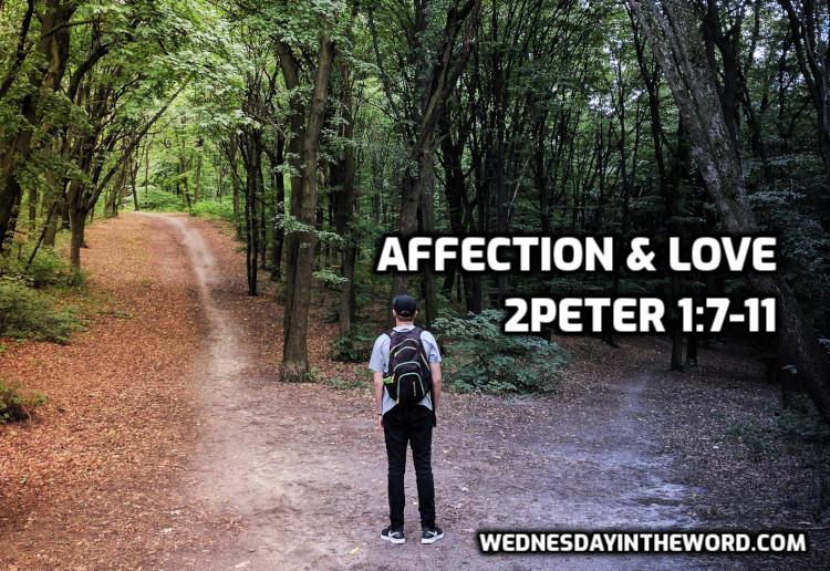 04 2Peter 1:7-11 Brotherly affection & love - Bible Study | WednesdayintheWord.com