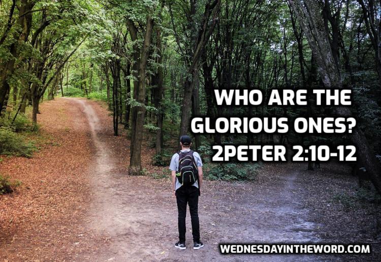 09 2Peter 2:10-12 Who are the “glorious ones” and why are they reviled? - Bible Study | WednesdayintheWord.com