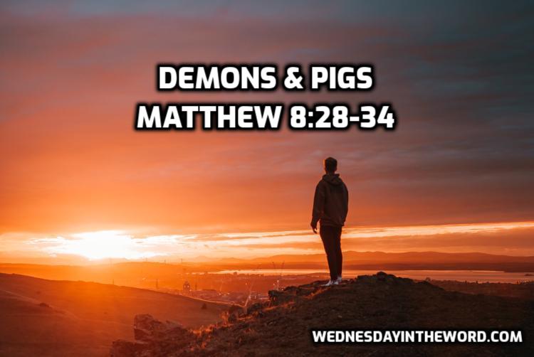46 Matthew 8:28-34 Demons & Pigs - Bible Study | WednesdayintheWord.com