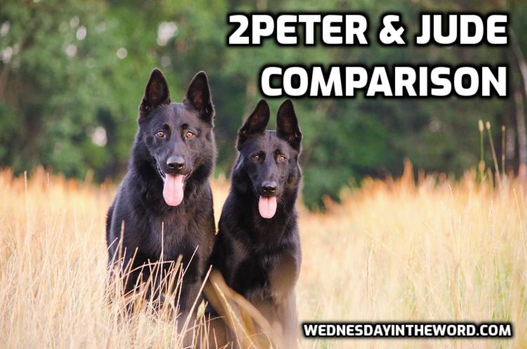 2Peter and Jude Comparison - Bible Study Tools | WednesdayintheWord.com