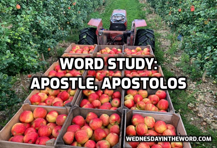 Word Study: apostle, apostolos - Bible Study Tools | WednesdayintheWord.com