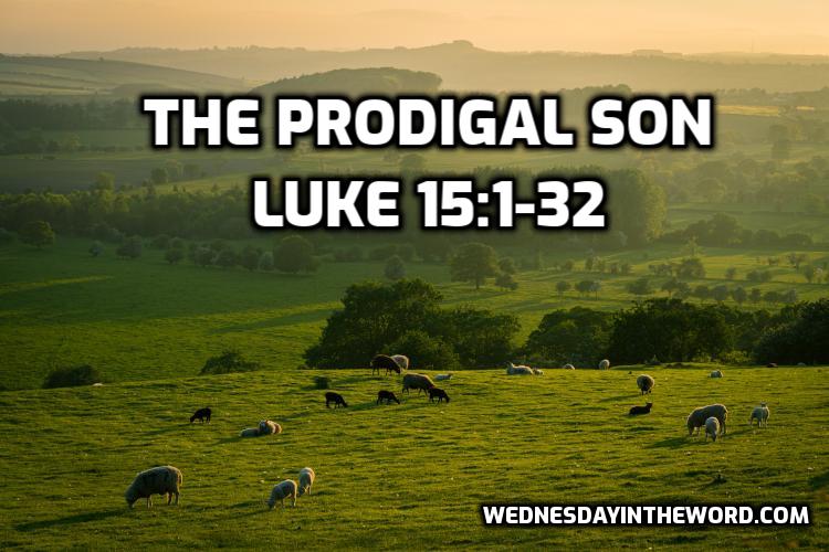 The Prodigal Son - Bible Study | WednesdayintheWord.com