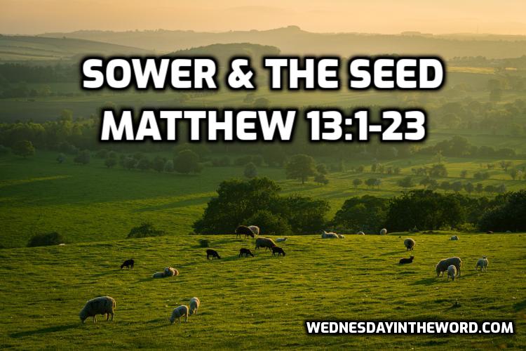 Sower & the Seed - Bible Study | WednesdayintheWord.com