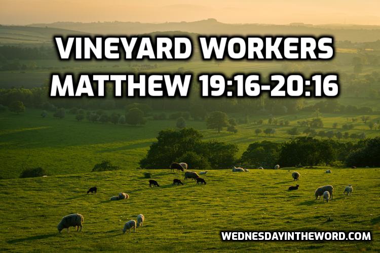 The Vineyard Workers - Bible Study | WednesdayintheWord.com